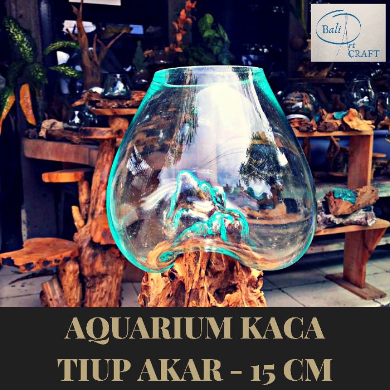 AKUARIUM IKAN CUPANG 15 CM / KACA TIUP DAN AKAR BALI / AQUASCAPE / AQUARIUM UNIK GLASSWOOD /READY