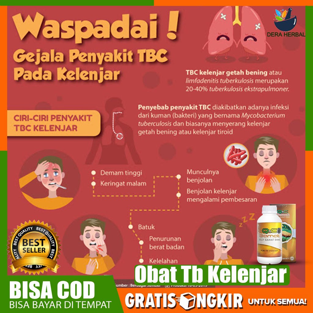 Obat untuk atasi Obat Tb Kelenjar di Leher Obat Kelenjar Getah Bening Qnc Jelly Gamat Herbal