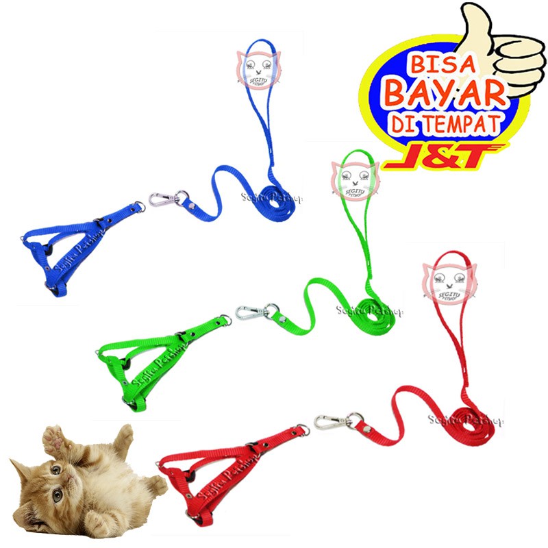 Harness Y Tali Penuntun Kucing Musang Anjing Hewan
