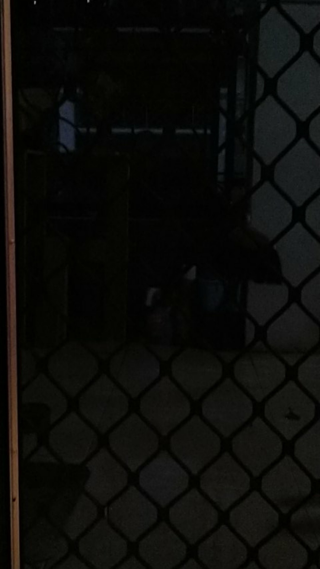 Packing Kayu / Peti Kayu