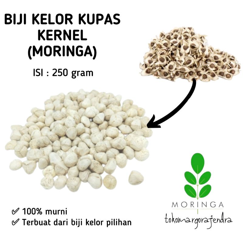 

Biji Kelor Kupas 250gr Kernel Moringa Murah