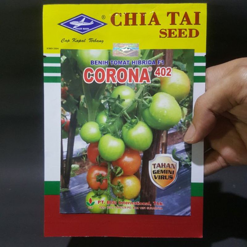 Benih tomat Corona F1/10 Gram