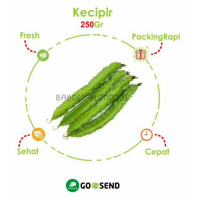 

KECIPIR PACK / CIPIR 500GRAM / BEACH / FRESH VEGETABLES / VEGETABLE / SAYUR SAYURAN ONLINE SEGAR