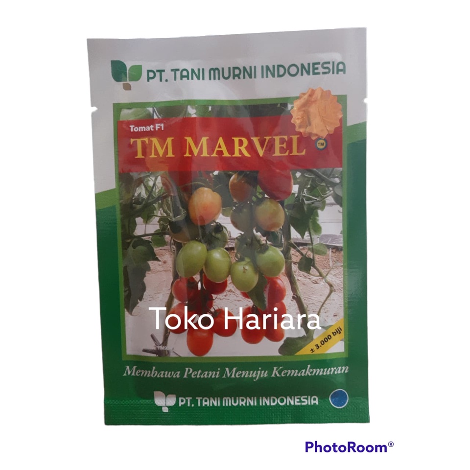 Bibit Tomat TM Marvel F1 - 10gr