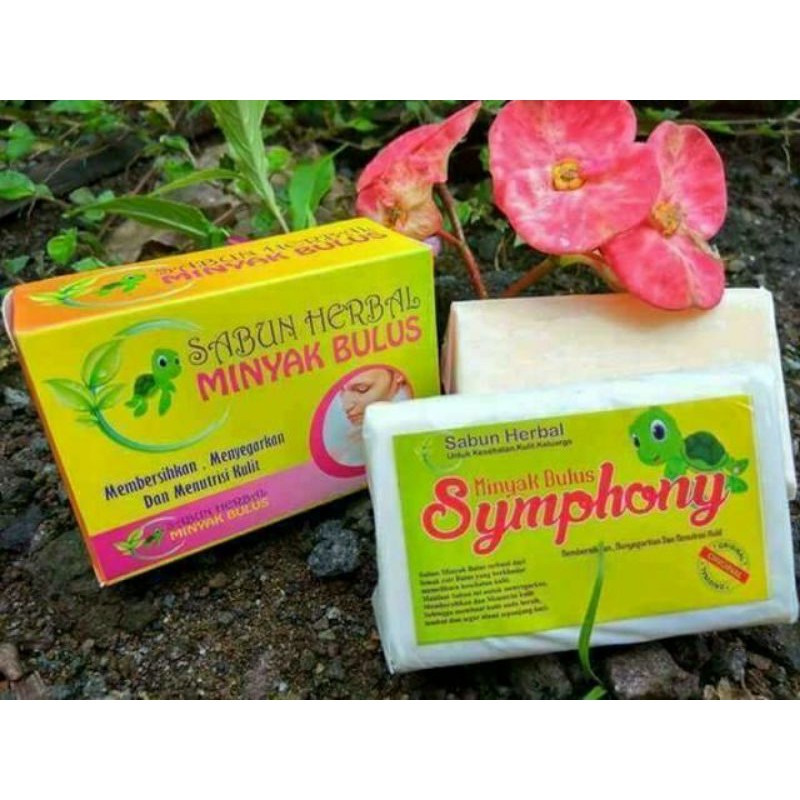 SABUN BULUS | SABUN MINYAK BULUS | SABUN HERBAL MINYAK BULUS