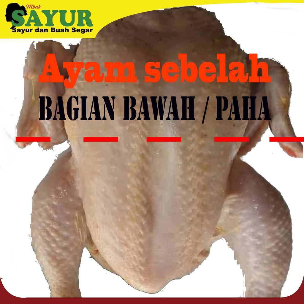 

Ayam Bagian Bawah / Paha