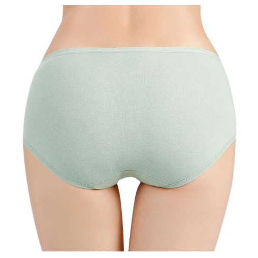 Celana Dalam Wanita Katun Menyerap Keringat CD COTTON Tanpa Jejak Nyaman Dipakai CD049 SEAMLESS