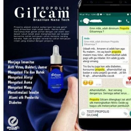 propolis  GILCAM terbaik dikelasnya