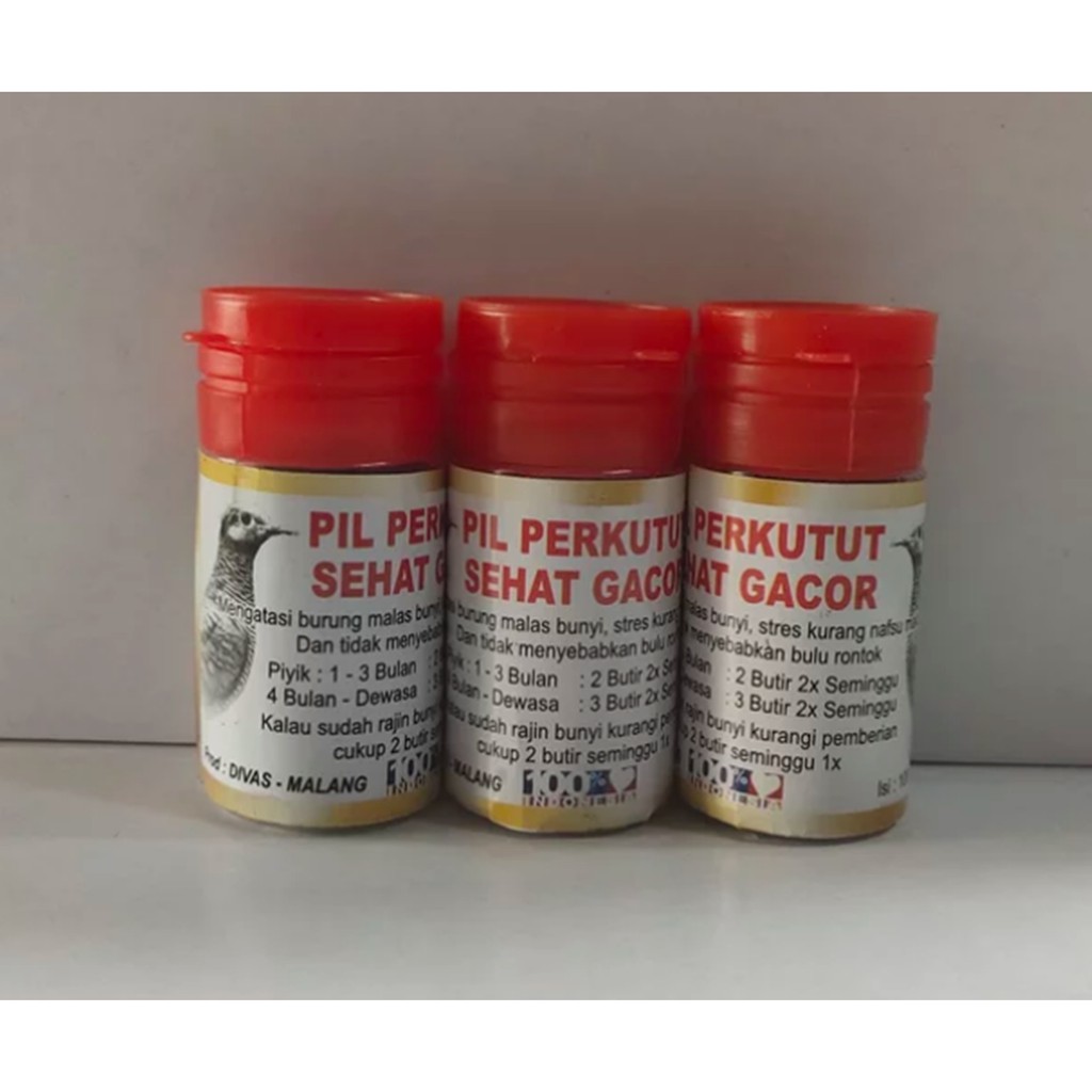 PIL JAMU GACOR PERKUTUT