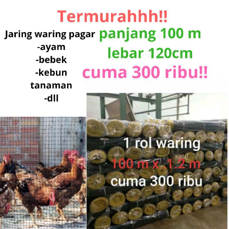 waring ikan -jaring waring - pagar ayam -pagar  kebun- harga per rol