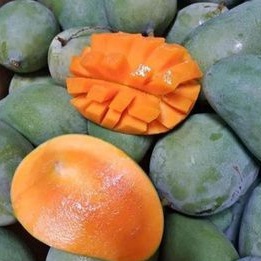 

Mangga Harum Manis Segar 1Kg