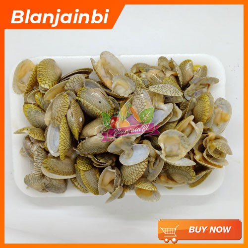 

Kerang Batik Segar Bandung