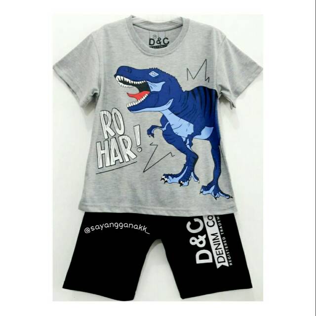 Setelan kaos anak laki laki Roar T-rex