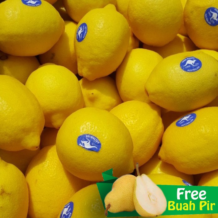 

Buah Lemon Import Australia 1kg