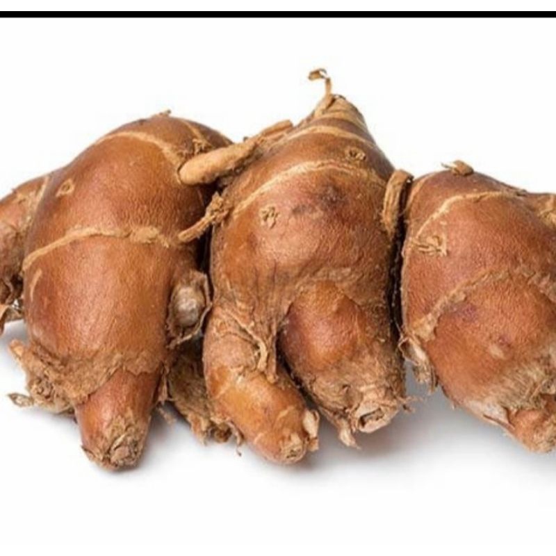 

MURAH 500 GR KENCUR SUPER LANGSUNG DARI PETANI