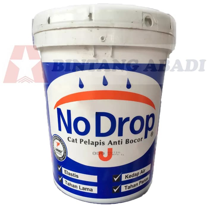 Jual No Drop Cat Pelapis Anti Bocor Pail 20 Kg Water Proofing By Avian Ba2381 Shopee Indonesia 9976