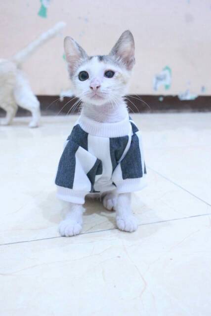 Kaos strip hitam putih motif besar lucu untuk kucing dan anjing baju kucing murah size S M L XL