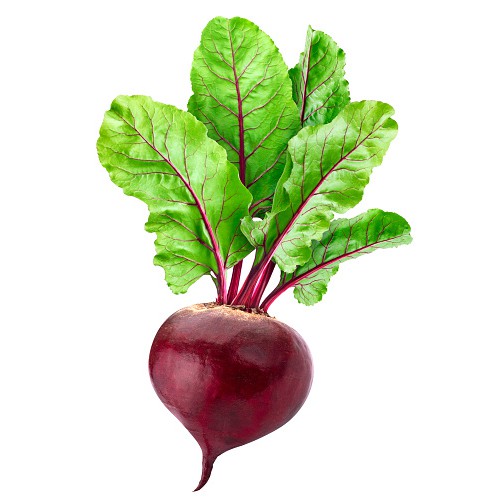 

Bit Root /kg