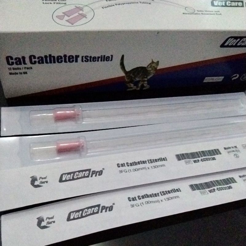 KATETER KUCING/CAT CATHETER 1.0*130mm /KATETER KUCING TANPA STYLET