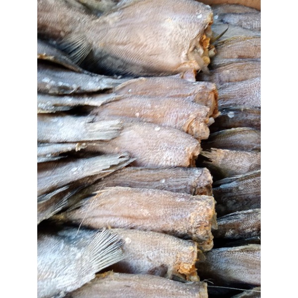 

ikan asin sepat jumbo segar 500gr