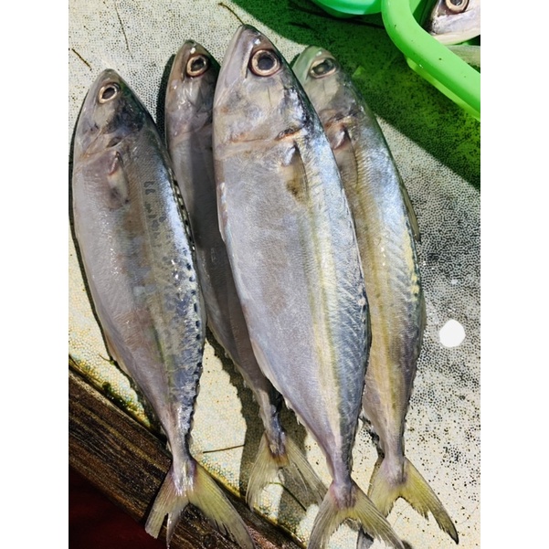 

Ikan kembung banjar