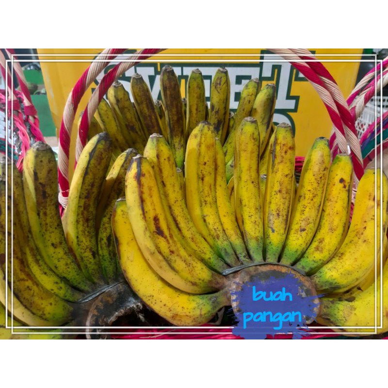 

pisang barangan medan super