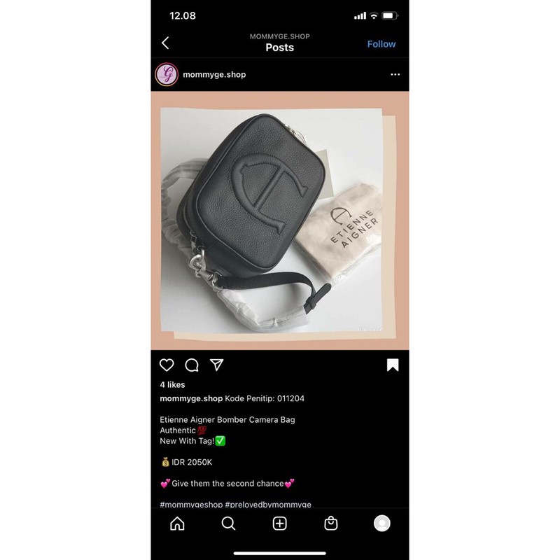 Etienne aigner camera bag NWT