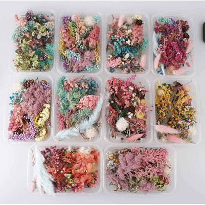 Various Dried Flower - Aneka Macam Bunga Kering (1box)