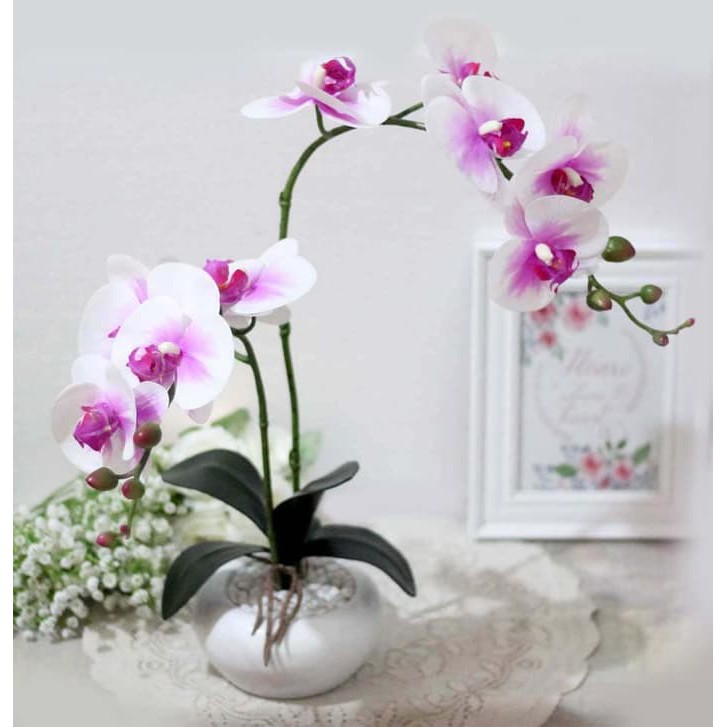 bunga artificial plastik hias anggrek PREMIUM LATEX + pot keramik