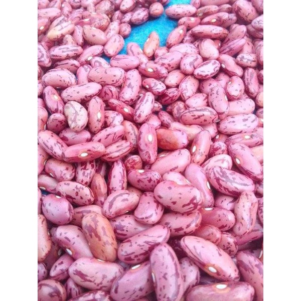 

kacang merah 1 kg / Red beans 1 kg