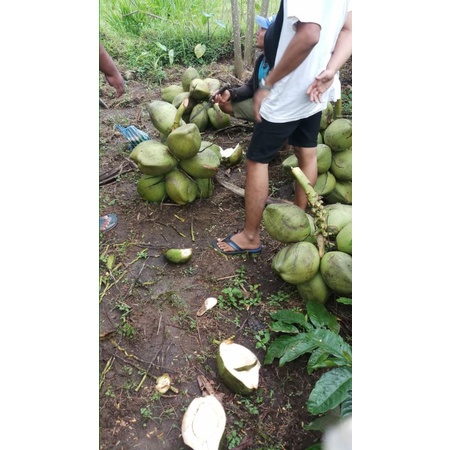 

degan (100% air kelapa)