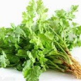 Daun Wansui Organik / Daun Ketumbar / Corriander Leaves 100g