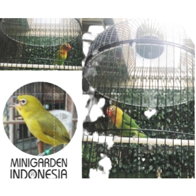 PLAFON SANGKAR BURUNG LOVEBIRD AKRILIK