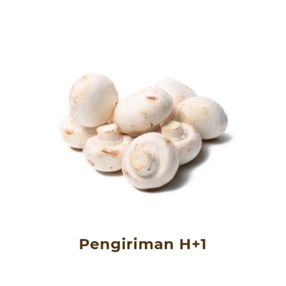 

Jamur Champignon