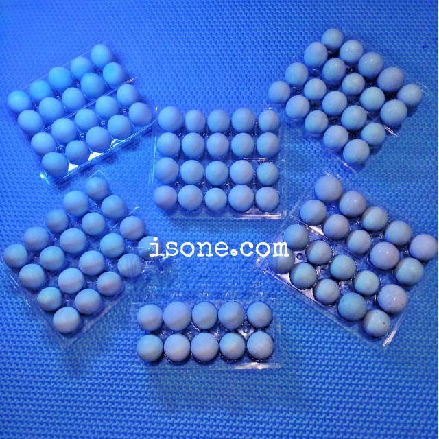 

Telor Bebek Grade A (Super)