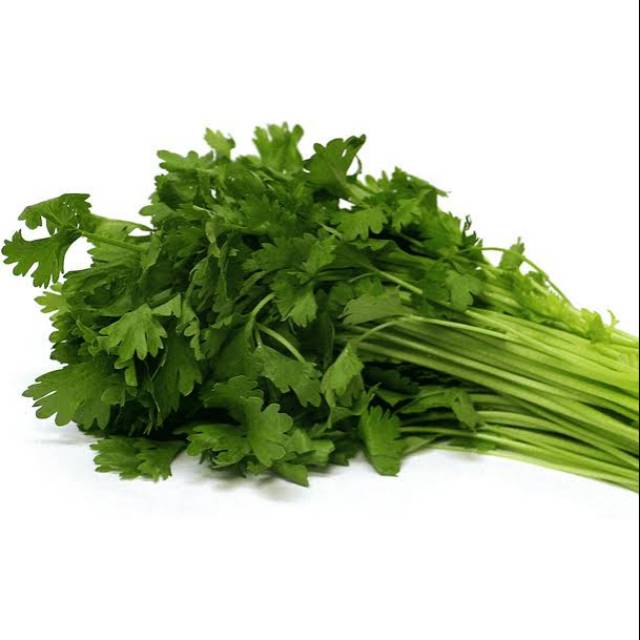 

Daun Seledri 200 gr