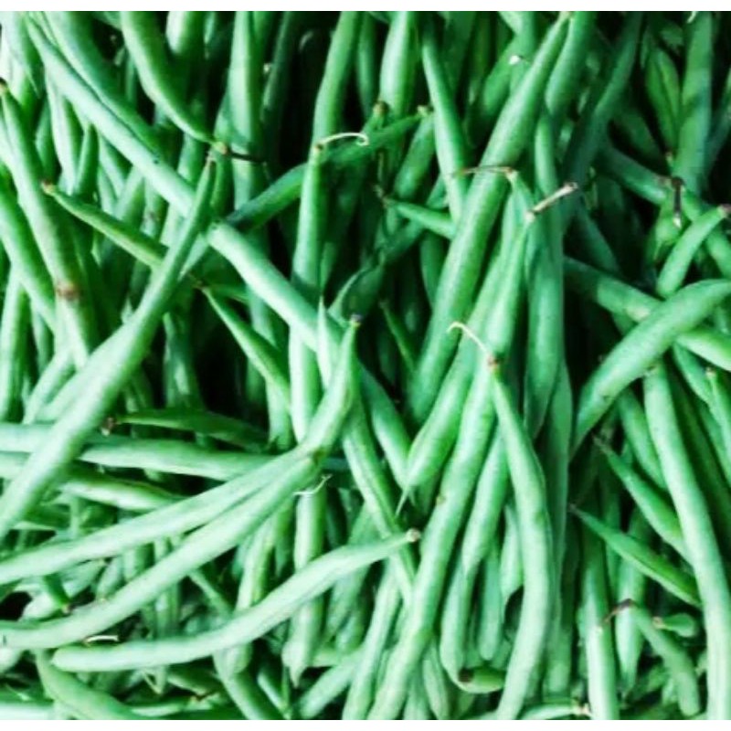 

Sayur Segar - Buncis 250 gr