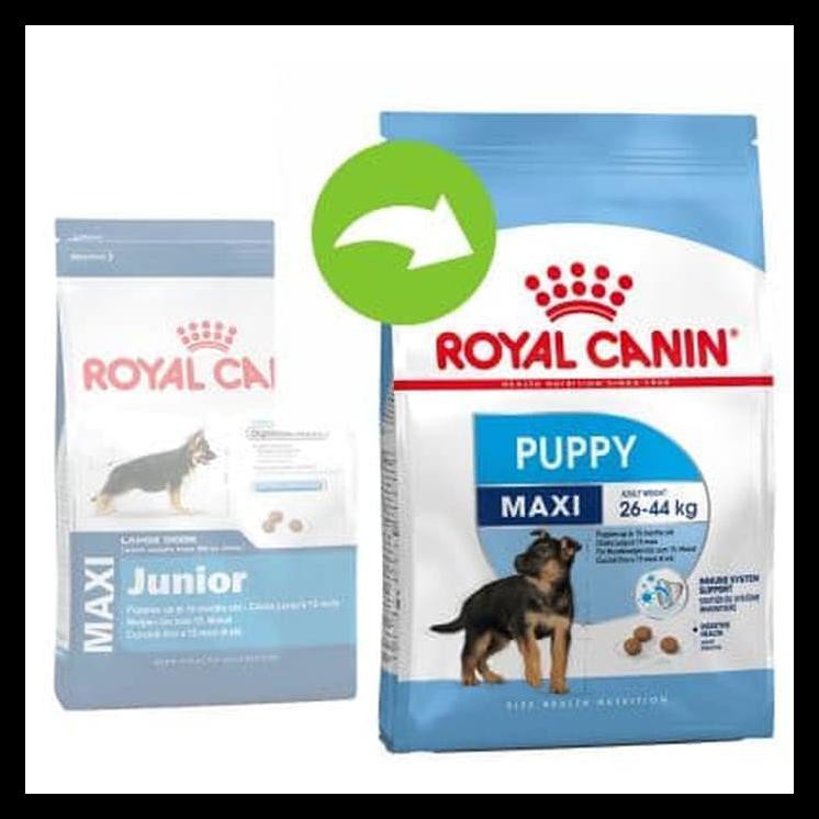 royal canin maxi junior puppy