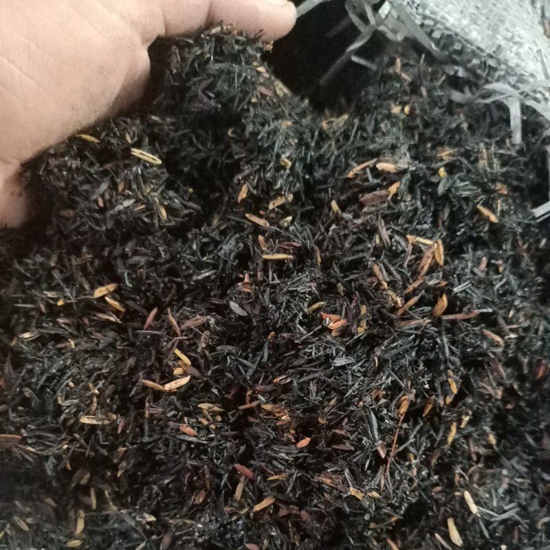 sekam bakar / sekam padi bakar 1 kg