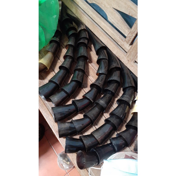 Kop Bekam Tanduk sapi wulung asli