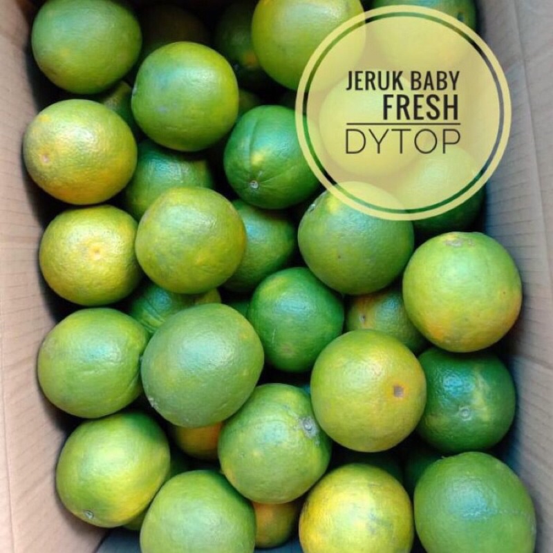 

Buah Jeruk Baby Manis Banyak Air Fresh Segar - 500 Gram