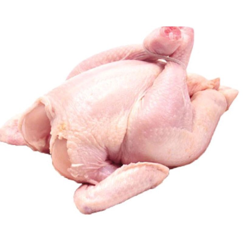 

Ayam Broiler karkas frozen segar 500gr