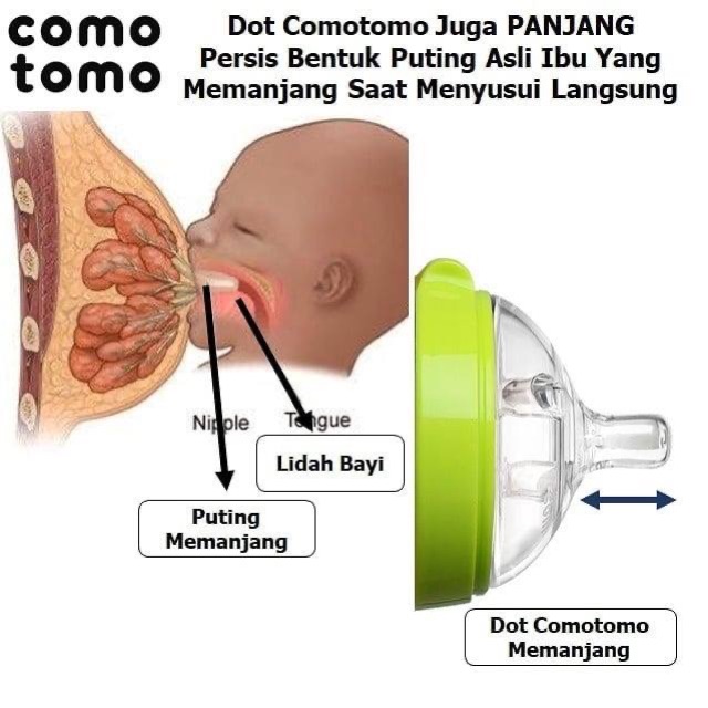 COMOTOMO PINK/GREEN 250ML SINGLE PACK BOTTLE - botol susu comotomo | dot bayi