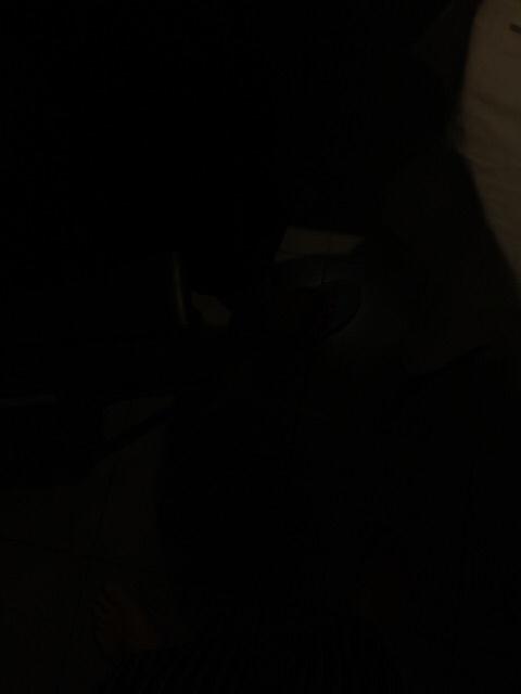 Homeland Spring Double Steamer- 26cm (induction) / Panci Steamer