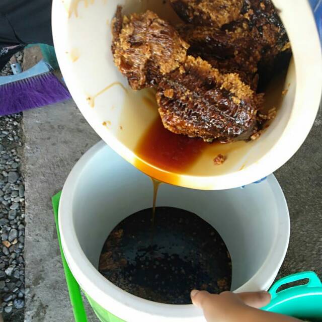

Madu Asli / Madu Murni 100% lebah liar