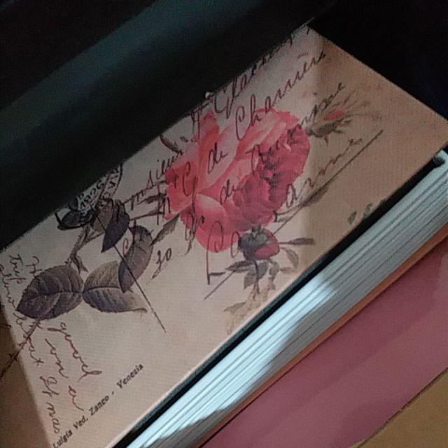 Brankas Model Buku Novel / Safety Box / Security Dictionary Model Rose