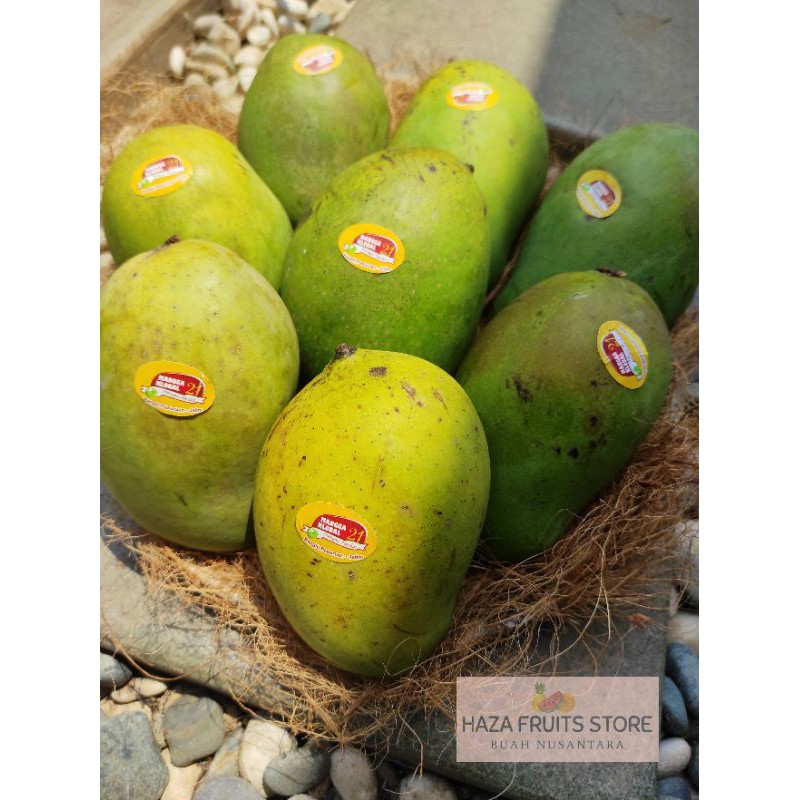 

Mangga Alpukat 1Kg