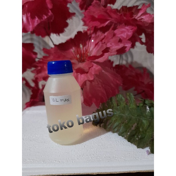 bibit minyak wangi murni 50 ml u2 man