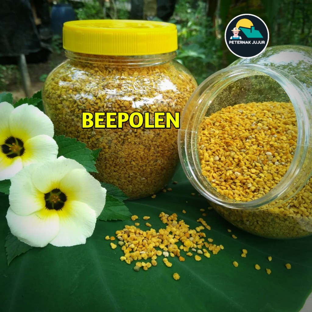 

BEE POLLEN 100% ASLI