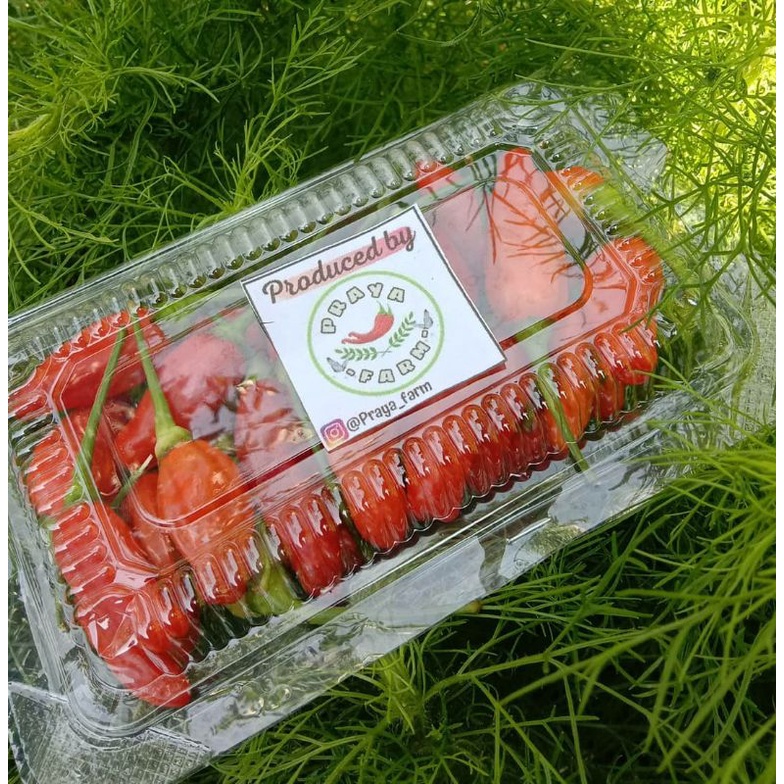 

Cabai Rawit 100gram Tanjungsari-Sumedang